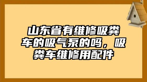 山東省有維修吸糞車的吸氣泵的嗎，吸糞車維修用配件