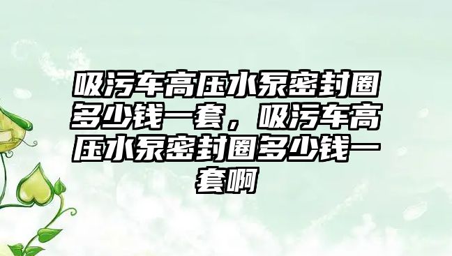 吸污車高壓水泵密封圈多少錢一套，吸污車高壓水泵密封圈多少錢一套啊